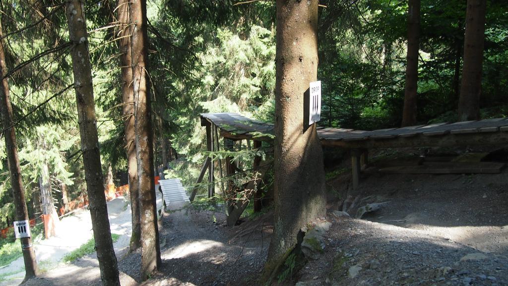 Alpin Lodge Leogang By Alpin Rentals Rum bild