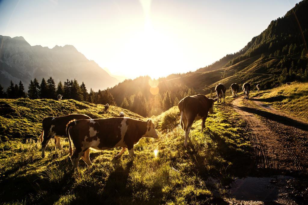Alpin Lodge Leogang By Alpin Rentals Exteriör bild